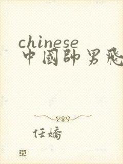 chinese中国帅男飞机