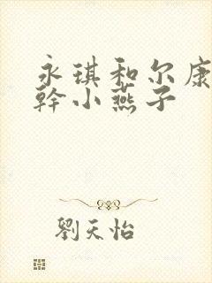 永琪和尔康一起干小燕子