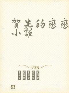 贺先的恋恋不忘小说