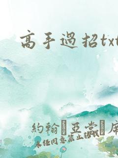 高手过招txt