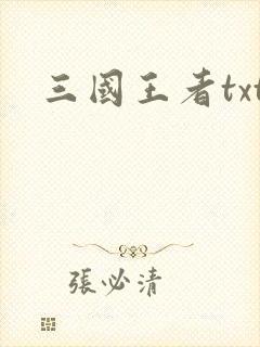 三国王者txt