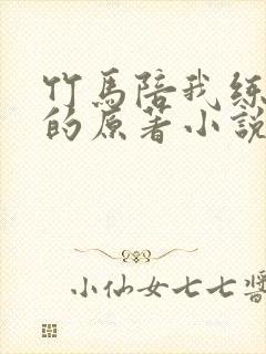 竹马陪我练技术的原著小说