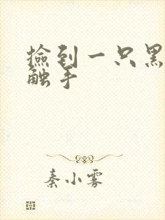 捡到一只黑心小触手