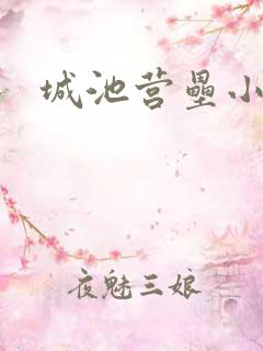 城池营垒小说