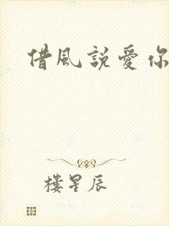 借风说爱你