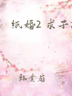 纸婚2 求子记