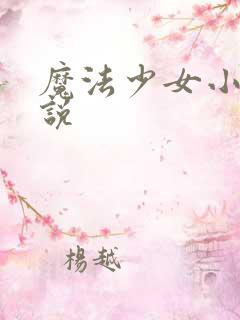 魔法少女小圆小说
