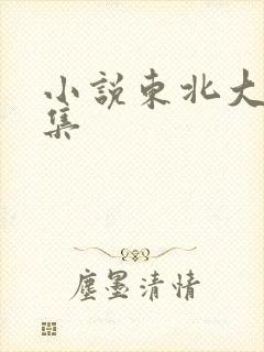 小说东北大炕全集