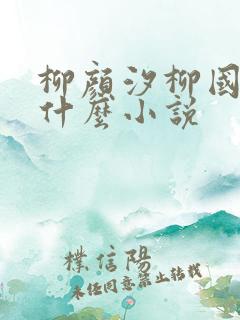 柳颜汐柳国安是什么小说