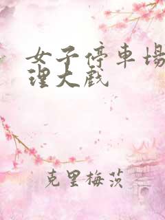 女子停车场现伦理大戏