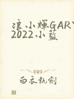 浪小辉GARY2022小蓝