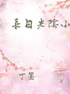 长日光阴小说