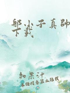 那小子真帅小说下载