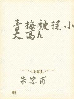 青梅被从小玩到大高h