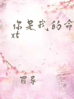 你是我的命运txt