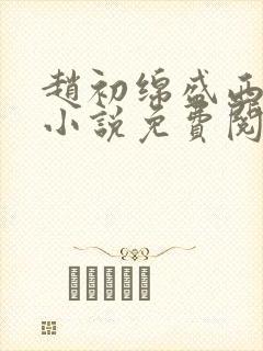 赵初绵盛西舫的小说免费阅读