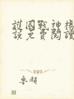 护国战神杨风小说免费阅读