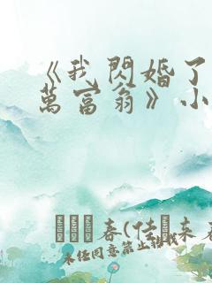 《我闪婚了个亿万富翁》小说