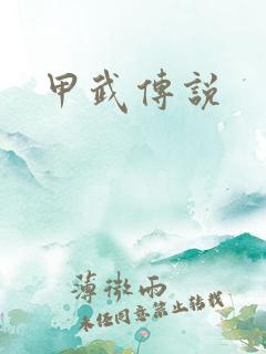甲武传说