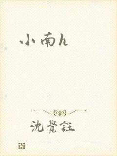 小南h