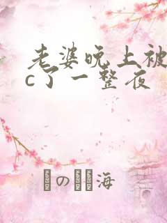 老婆晚上被躁狂c了一整夜