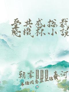 受共感总裁攻的飞机杯小说叫什么