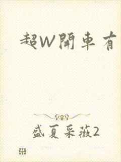 超W开车有过程