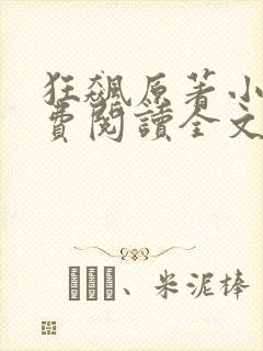 狂飙原著小说免费阅读全文