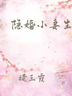 隐婚小妻生个娃