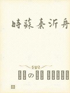 时苏秦沂舟小说