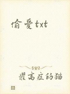 偷爱txt