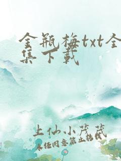 金瓶梅txt全集下载