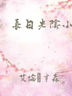 长日光阴小说