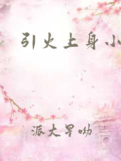 引火上身小说