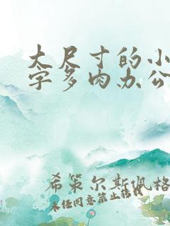 大尺寸的小黄说字多肉办公室作文