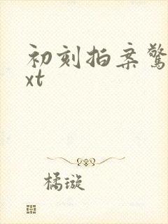 初刻拍案惊奇txt