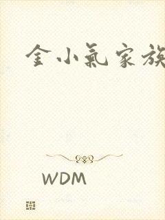 金小气家族小说