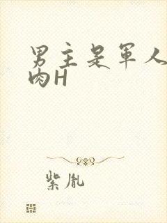 男主是军人的肉肉H