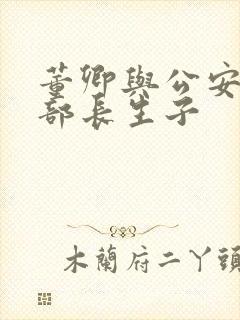 董卿与公安部副部长生子