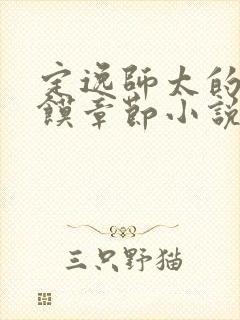 定逸师太的肉夹馍章节小说