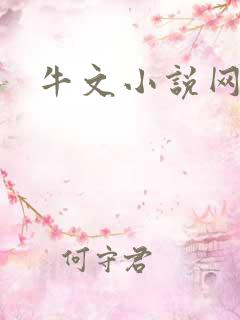 牛文小说网