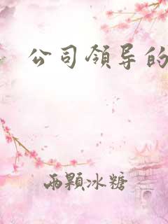 公司领导的老婆