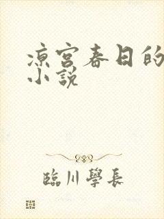 凉宫春日的忧郁小说