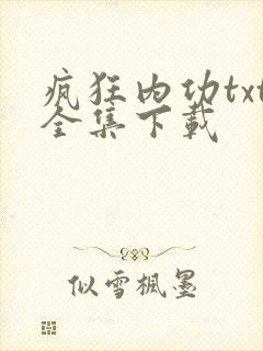 疯狂内功txt全集下载
