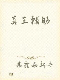 真王辅助
