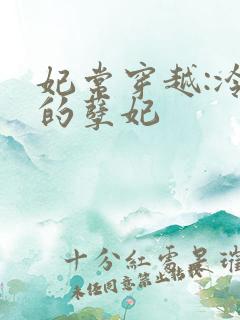 妃常穿越:冷王的孽妃