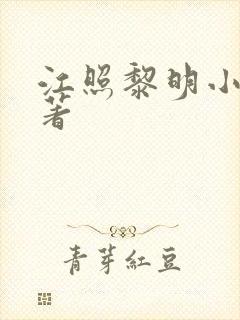 江照黎明小说原著