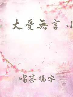 大爱无言 小说