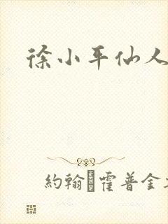 徐小平仙人指路