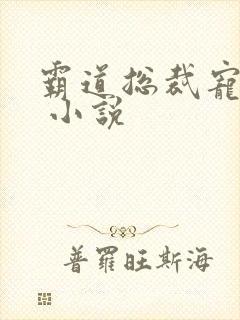 霸道总裁宠上天 小说